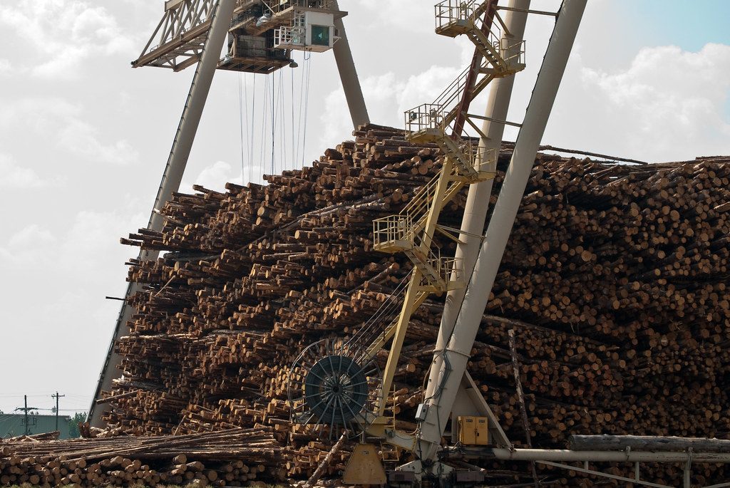 Weyerhauser Crane, Simsboro LA (19 of 23) Michael Welch Flickr