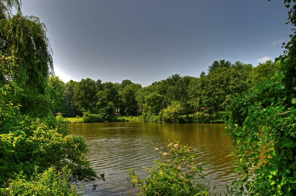 Wilde Lake in July Wilde Lake, Maryland Richard Orr