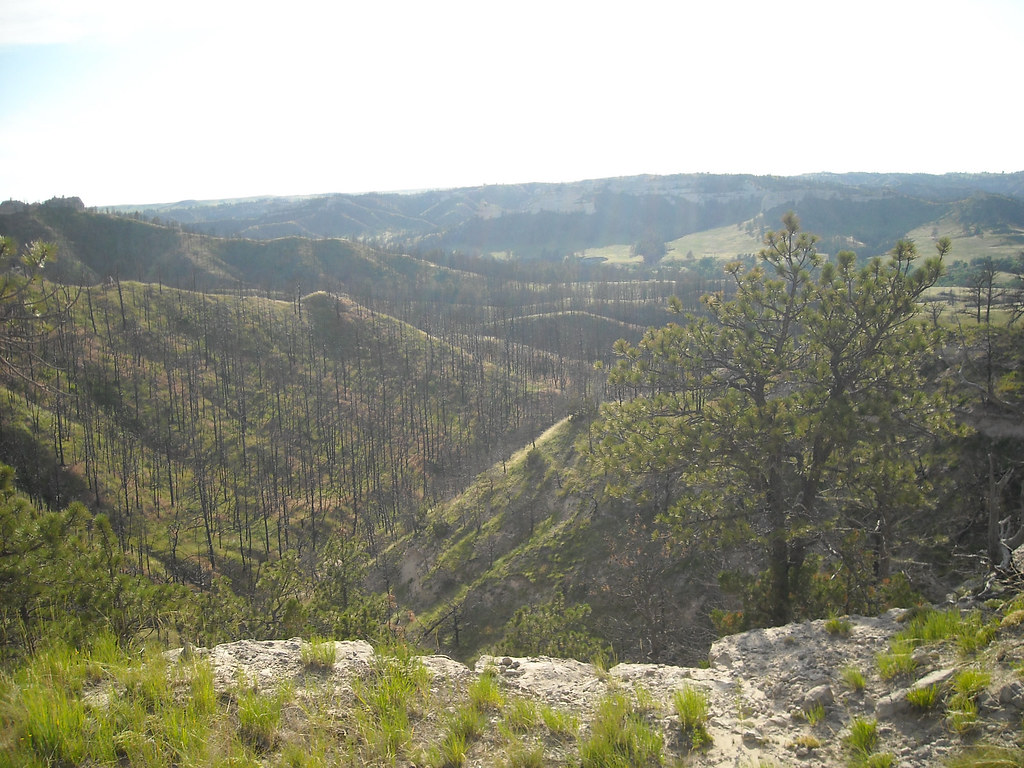 Looking over Sowbelly Canyon, 2009 It is easy to see the s… Flickr