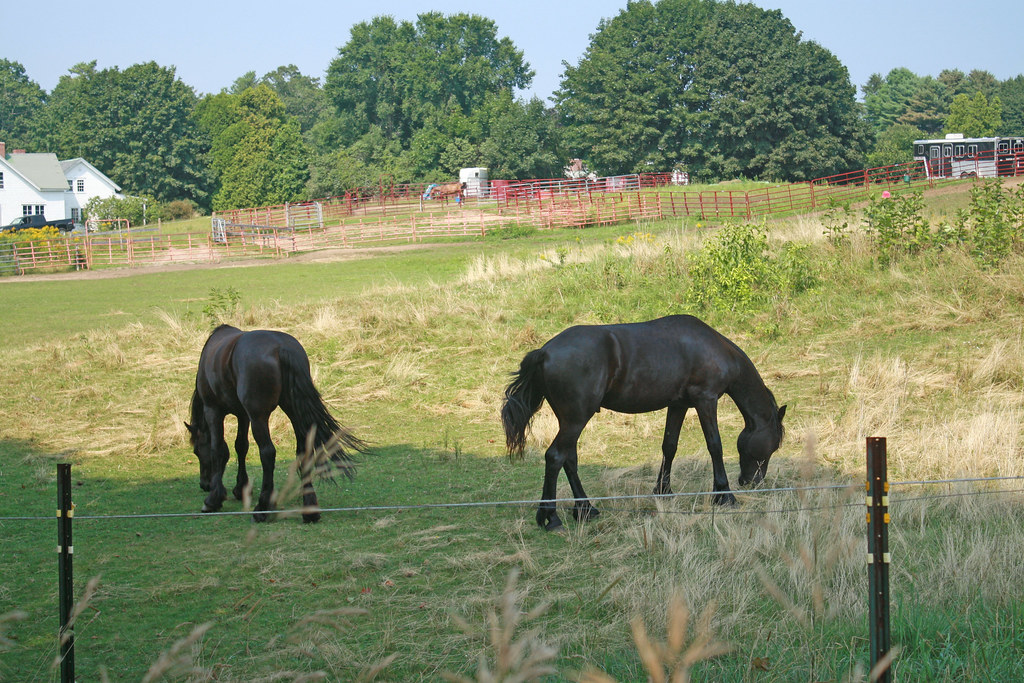 08 16_5651b Riverhurst Farm on the way to Parson's Beach i… Flickr