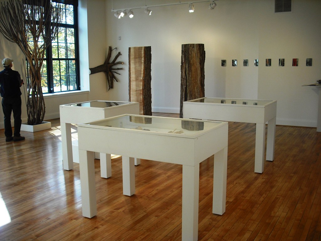 Exhibit at the MAC Oct. 2009 Peggy R. McConnell Arts