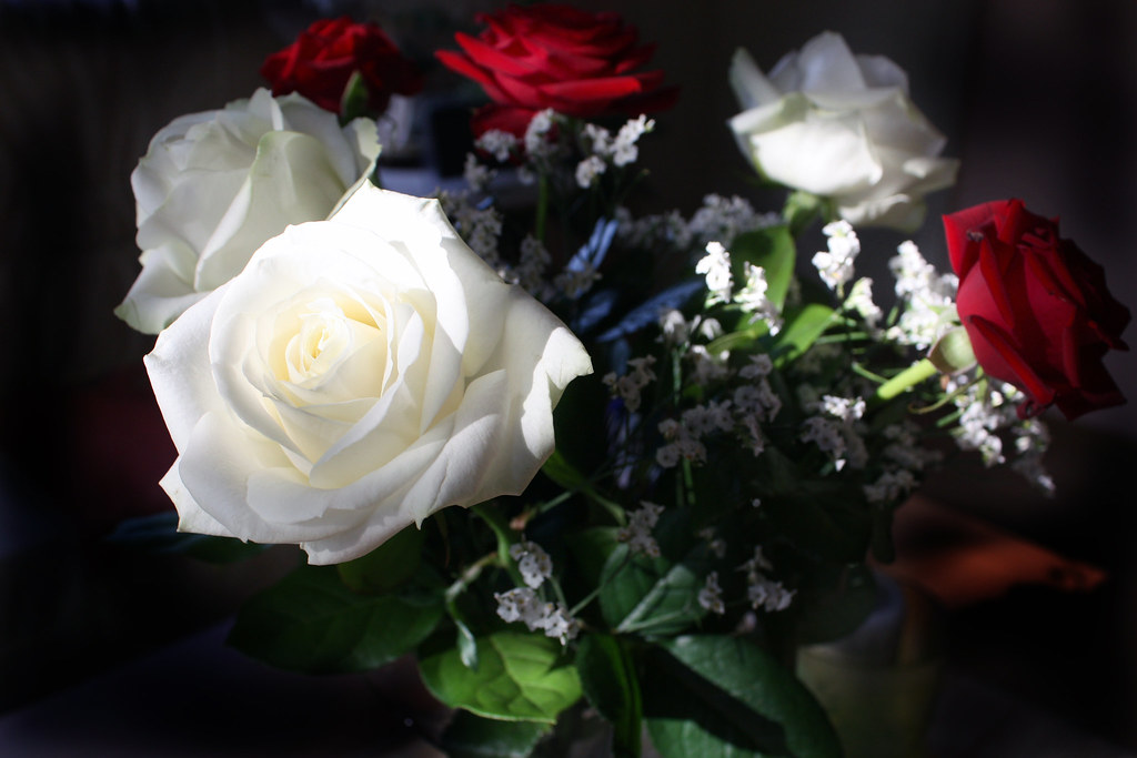 Red & White Bouquet Roses have had meaning since the dawn … Flickr