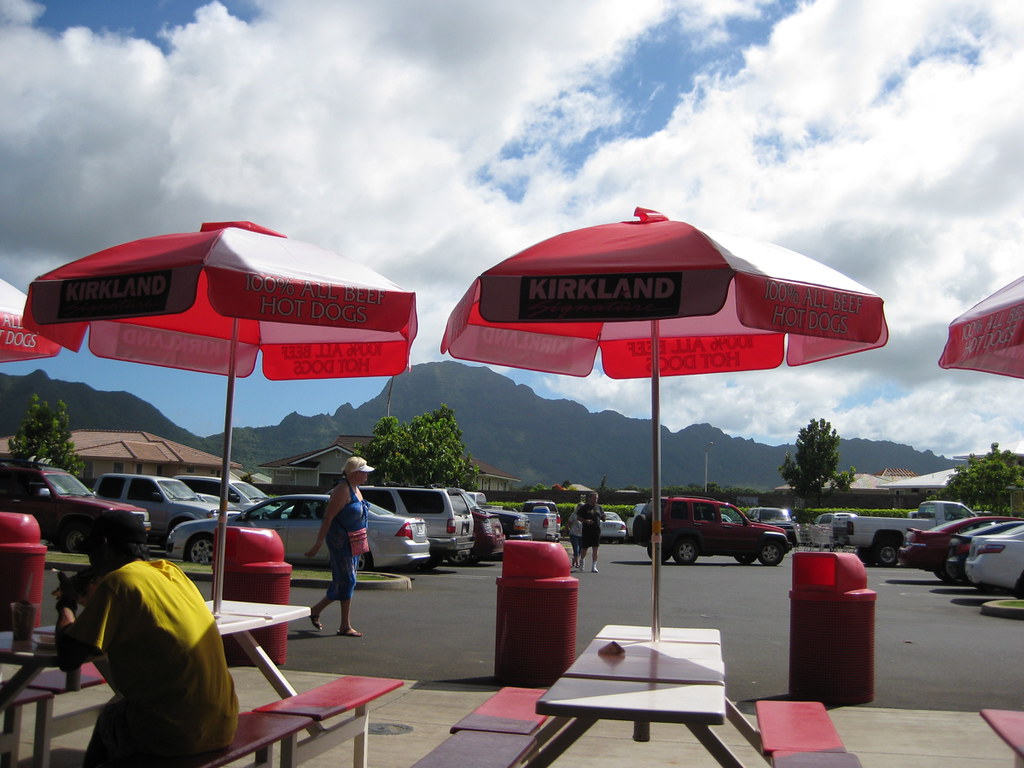 IMG_1949 Costco Kauai fidget kt Flickr