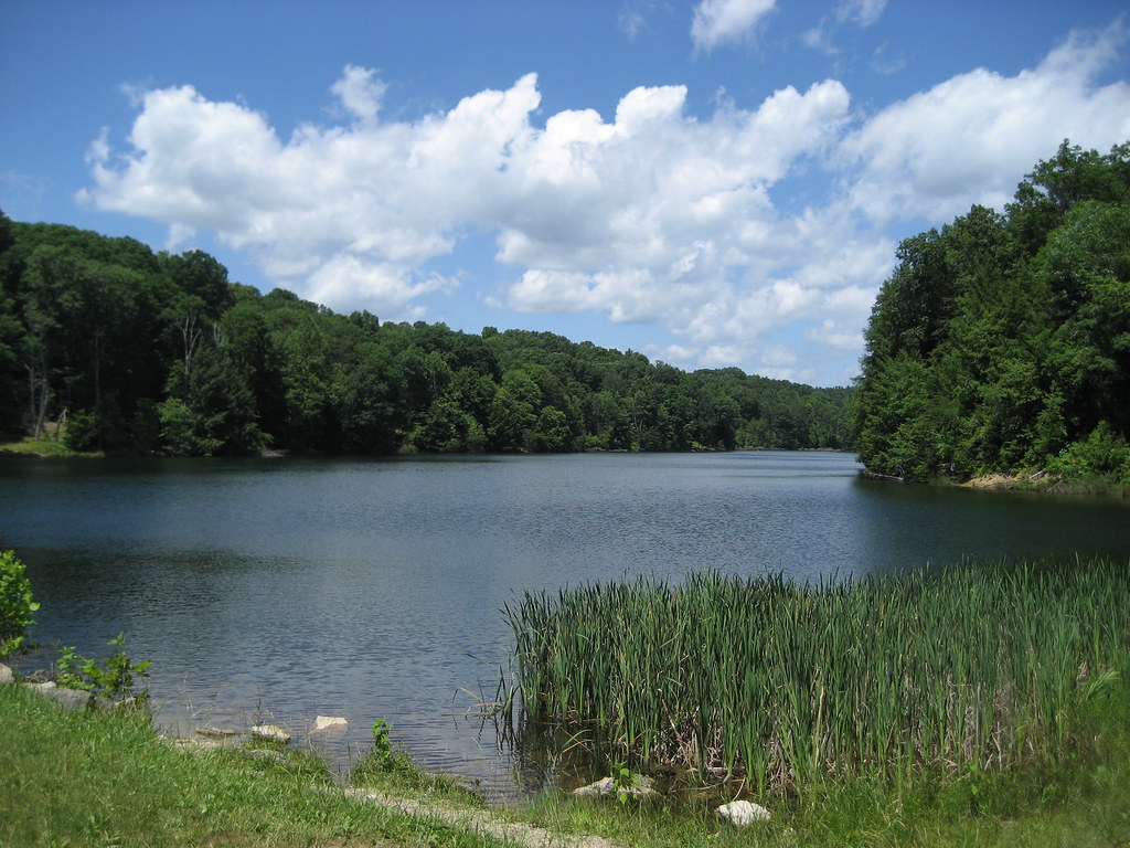 Rose Lake aums311 Flickr