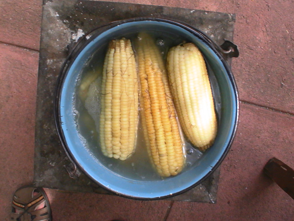 Corn Oaxaca City, Mexico Instituto Cultural Oaxaca hosts… Flickr