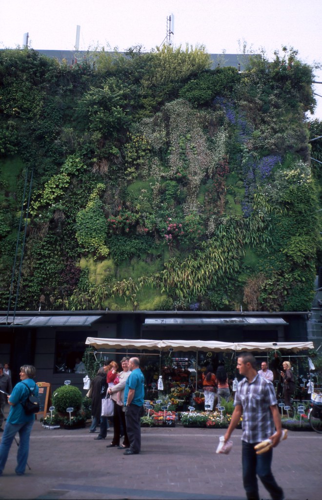 Living wall "Living wall" at Les Halles indoor market, Avi… Flickr