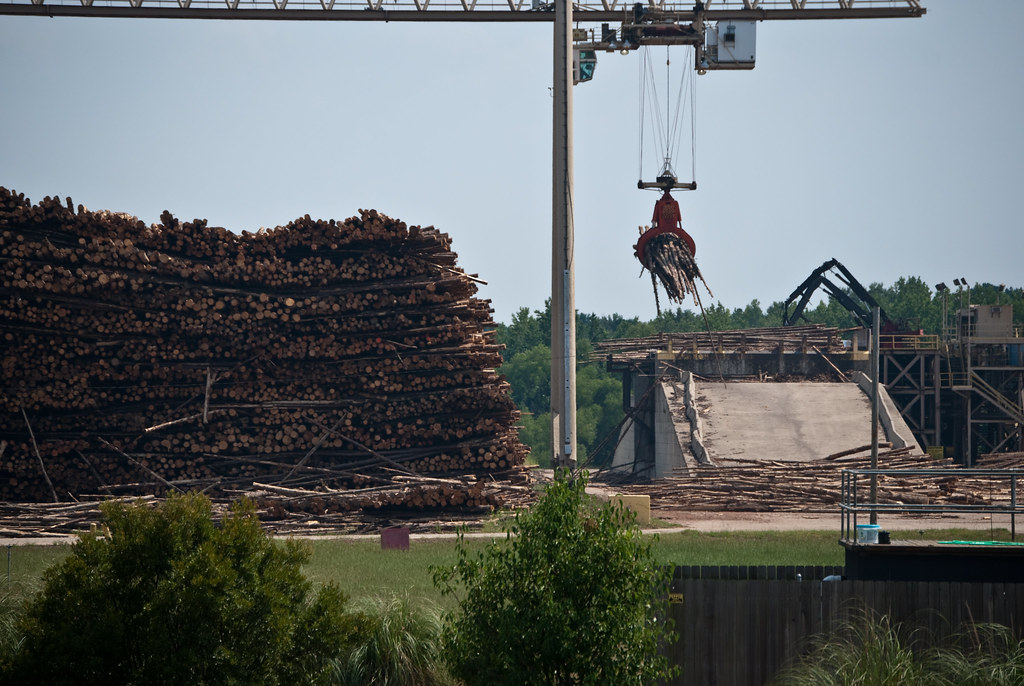 Weyerhauser Crane, Simsboro LA (3 of 23) Michael Welch Flickr