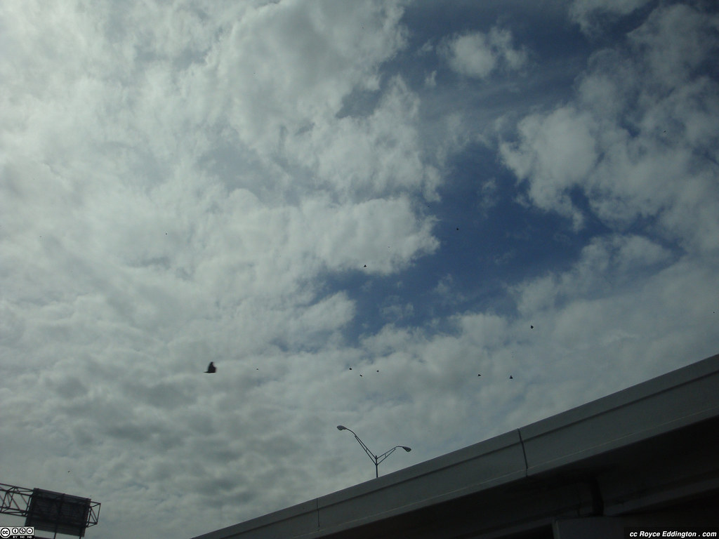 Freeway Fliers I was stuck in traffic and thought I would … Flickr