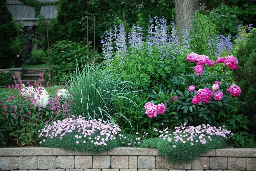 Amazing Pink, White, and Purple Perennial Garden This gard… Flickr