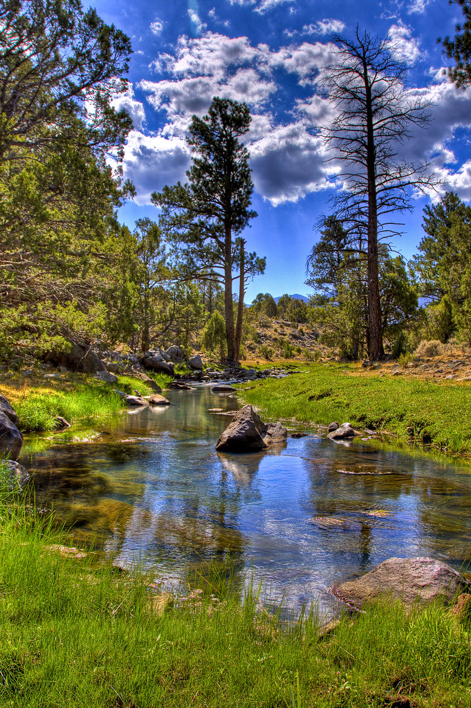 Pine Valley creek Starting on Pine Valley mountain, this s… Flickr