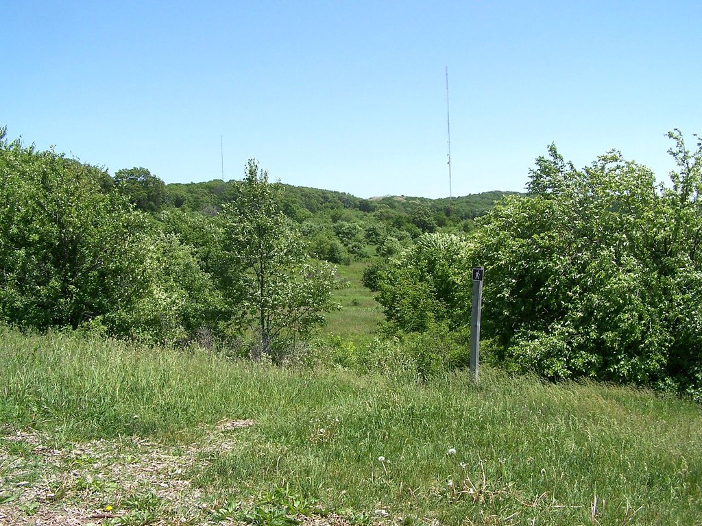 Verona Dog Park A view of the expanse of the park. Here, w… Flickr