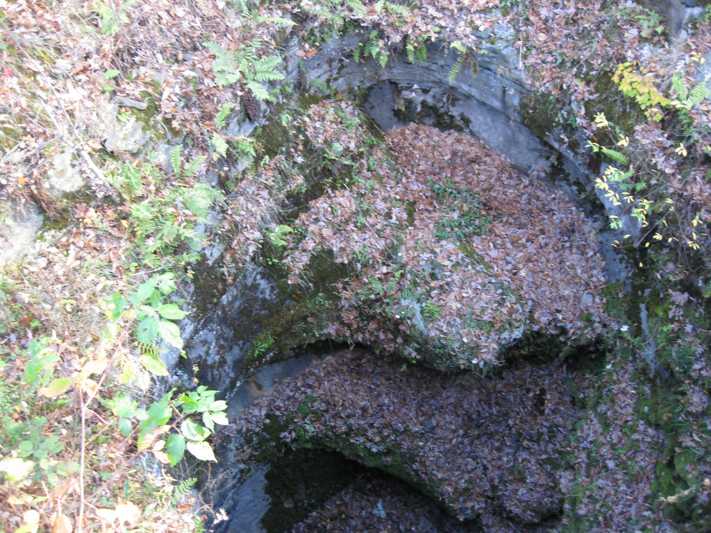 Archbald Pothole State Park Pennsylvania Archbald Pothol… Flickr