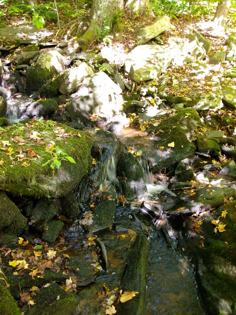 Stream Upper woods pond 2 Stream upper woods pond Honesdal… Flickr