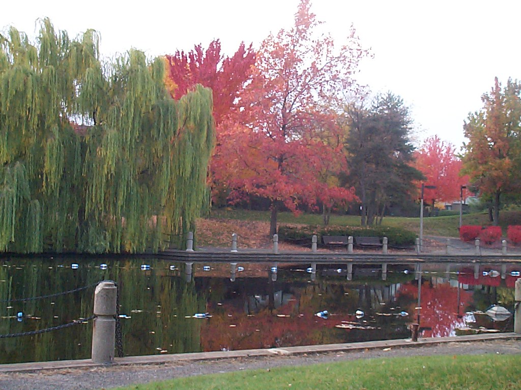 Ohio Canal, Park East, Akron OH 2008 Fall pinkujane Flickr