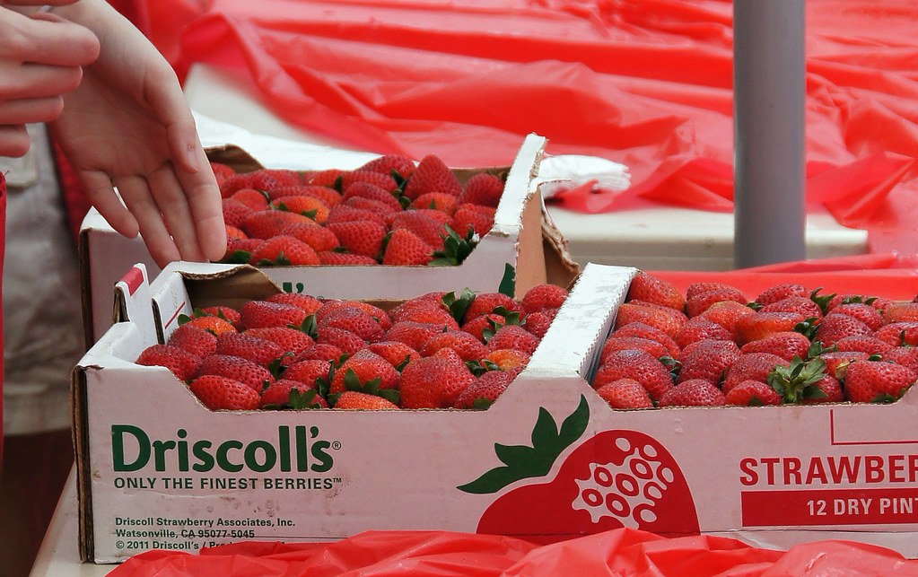 delaplane strawberry festival 2023 Delaplane Strawberry Festival Flickr