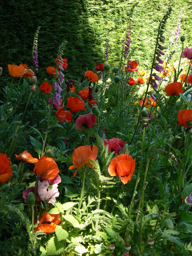 Summer afternoon Marle Place gardens, Brenchley, Kent Brian Sibley Flickr