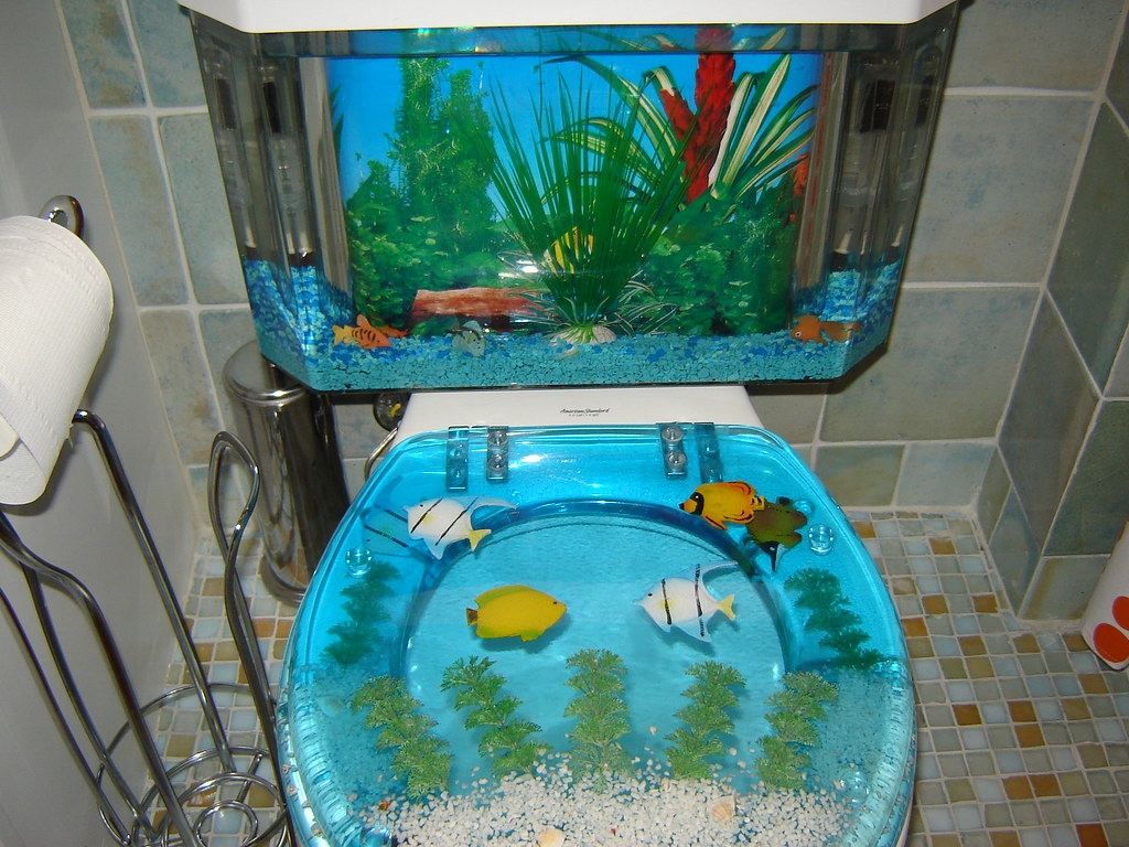 Ashlees Fish Tank toilet Shawn Herr Flickr