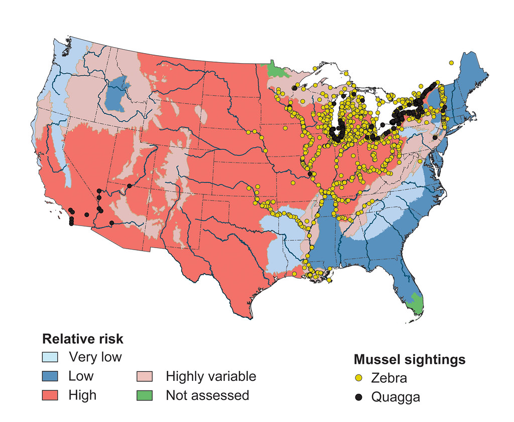 Zebra Mussels Map