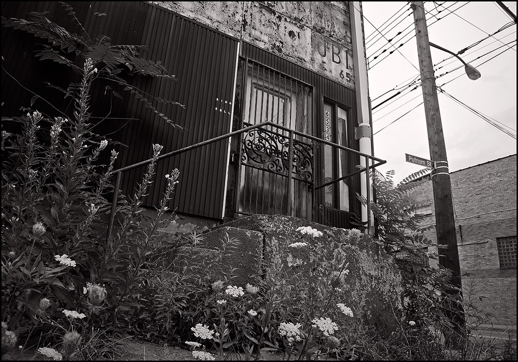 100 flowers blossom pittsburgh, pa large View On Black anjan58 Flickr