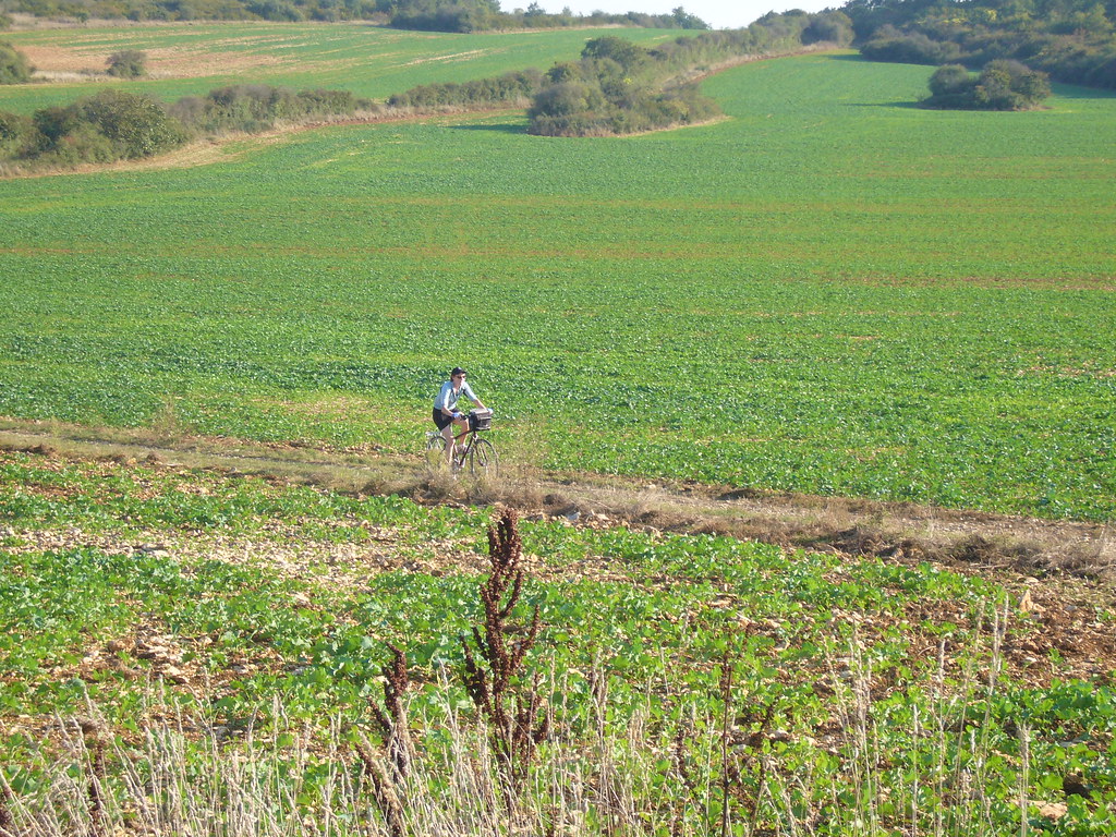 P1010131.JPG Bryan Dougherty Flickr