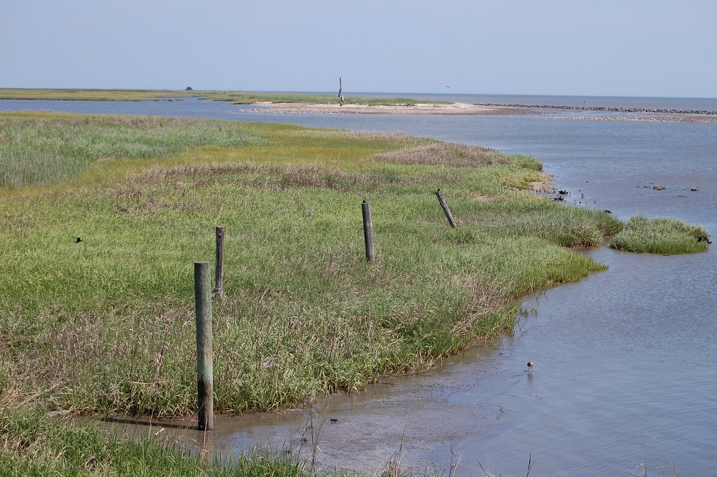 Slaughter Beach, Delaware pseretny Flickr
