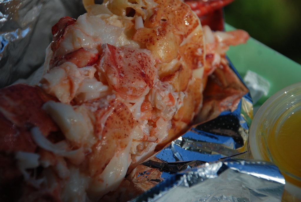 lobster roll from Red's Eats in Wiscasset, Maine Kristen Taylor Flickr