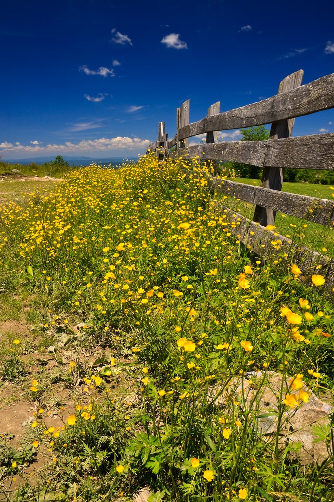 Elevation of Lost Lake Rd, Troutdale, VA, USA Topographic Map