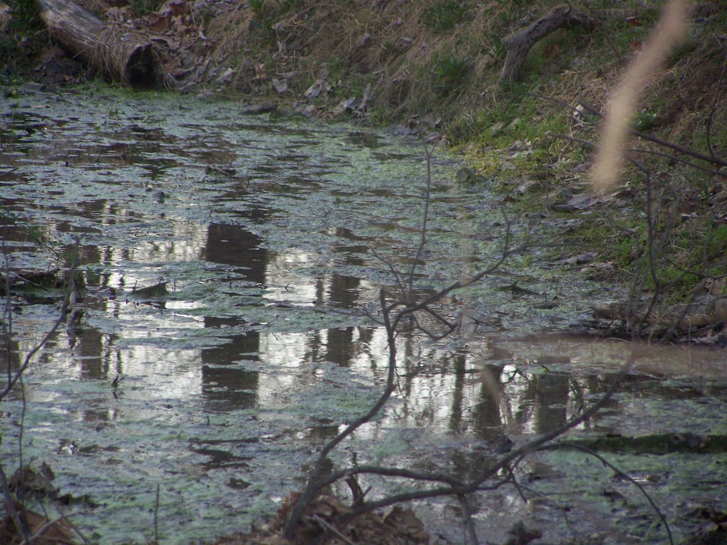 Peace Valley Park, Bucks County PA cormanosanchez Flickr