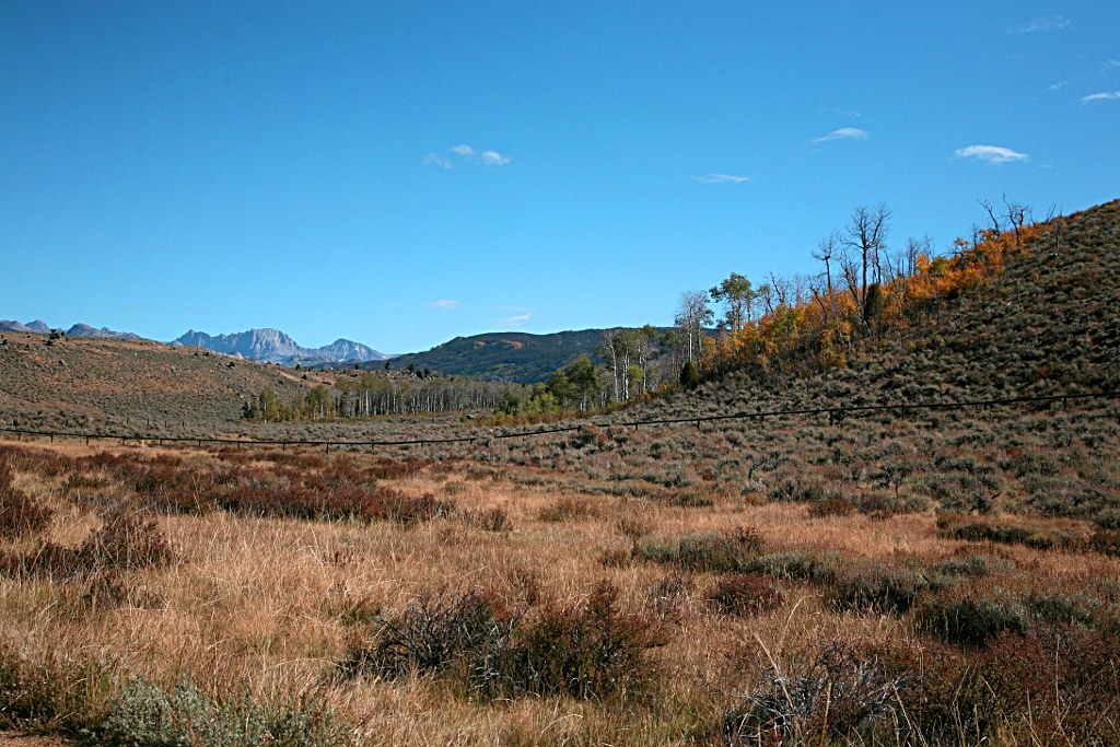 Elevation of Wilson St, Pinedale, WY, USA Topographic Map Altitude Map