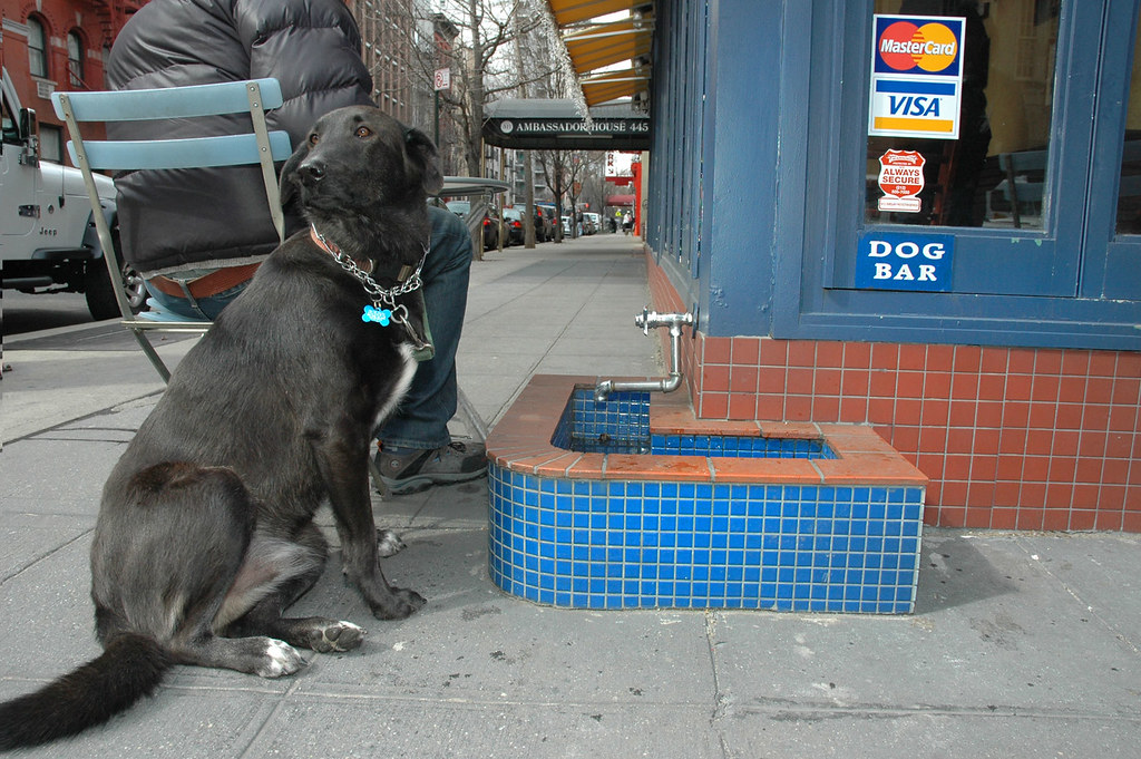 Barking Dog Barking Dog, located in the East 70s, serves N… Flickr