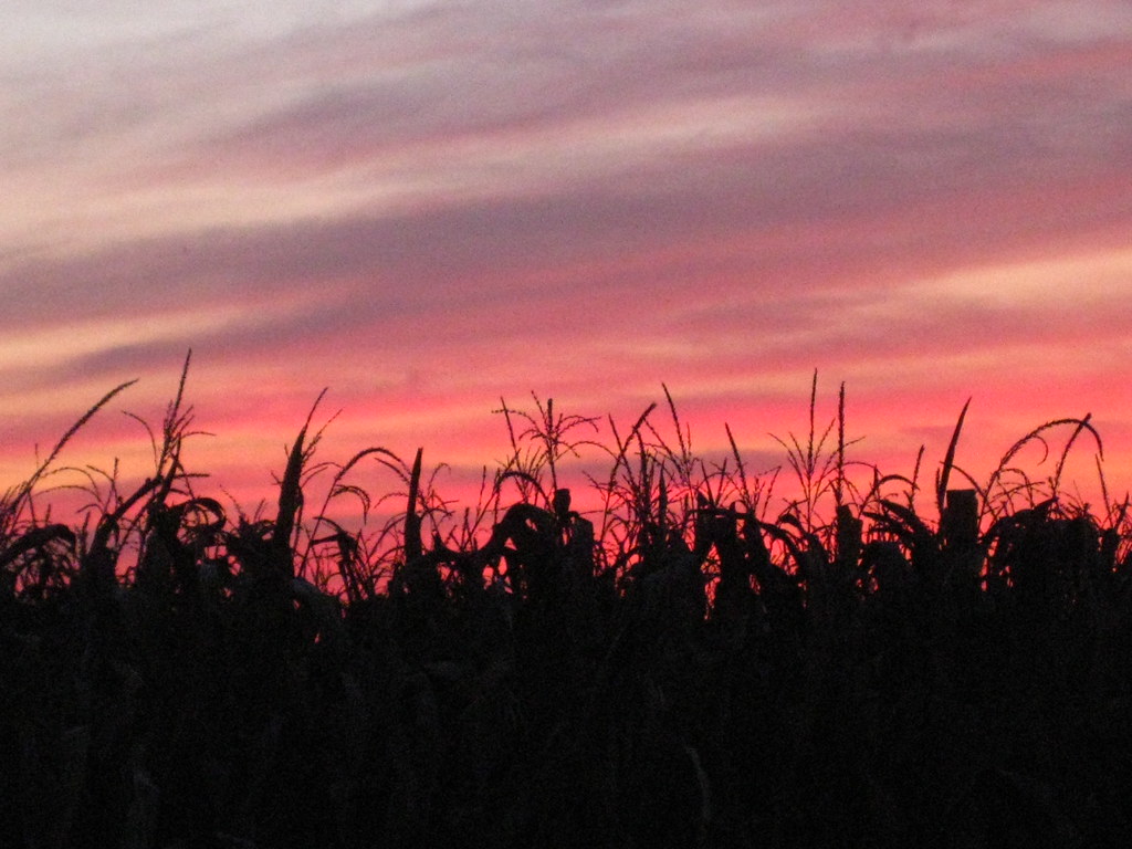 Fertile Ground On location in Iowa Flickr