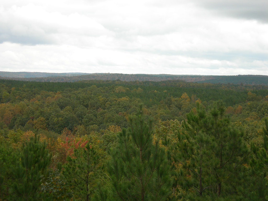 Freedom Hills Overlook The highest spot of the Natchez Tra… Flickr