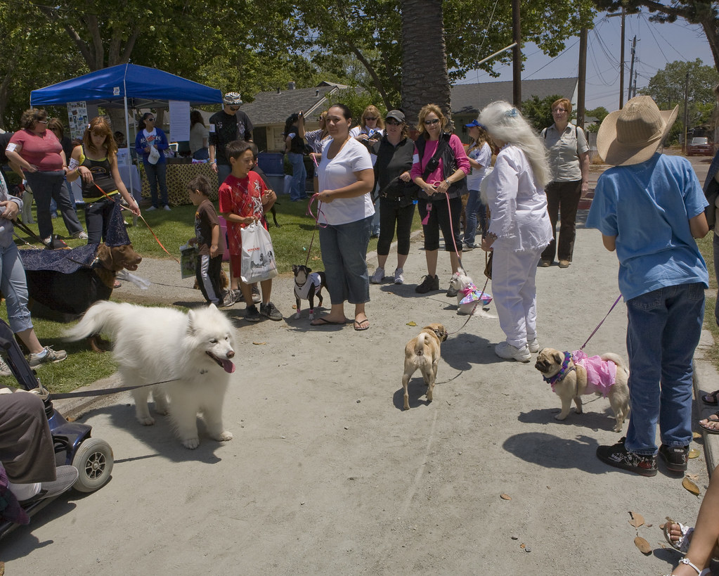 Dog Days of Hollister 2009 Peggy Dean Creative Photograp… Flickr