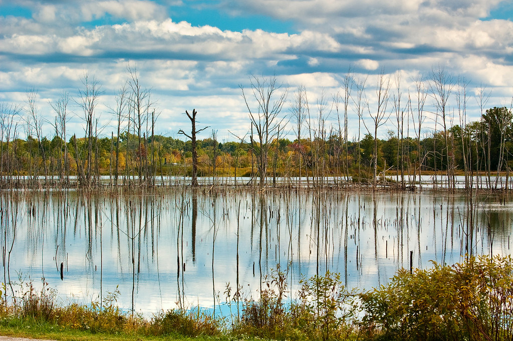 Sandy Ridge Reservation View On Black Lorain County Metrop… Flickr