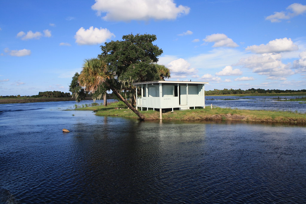 catfish hotelSt.Johns River,Florida jay herron Flickr