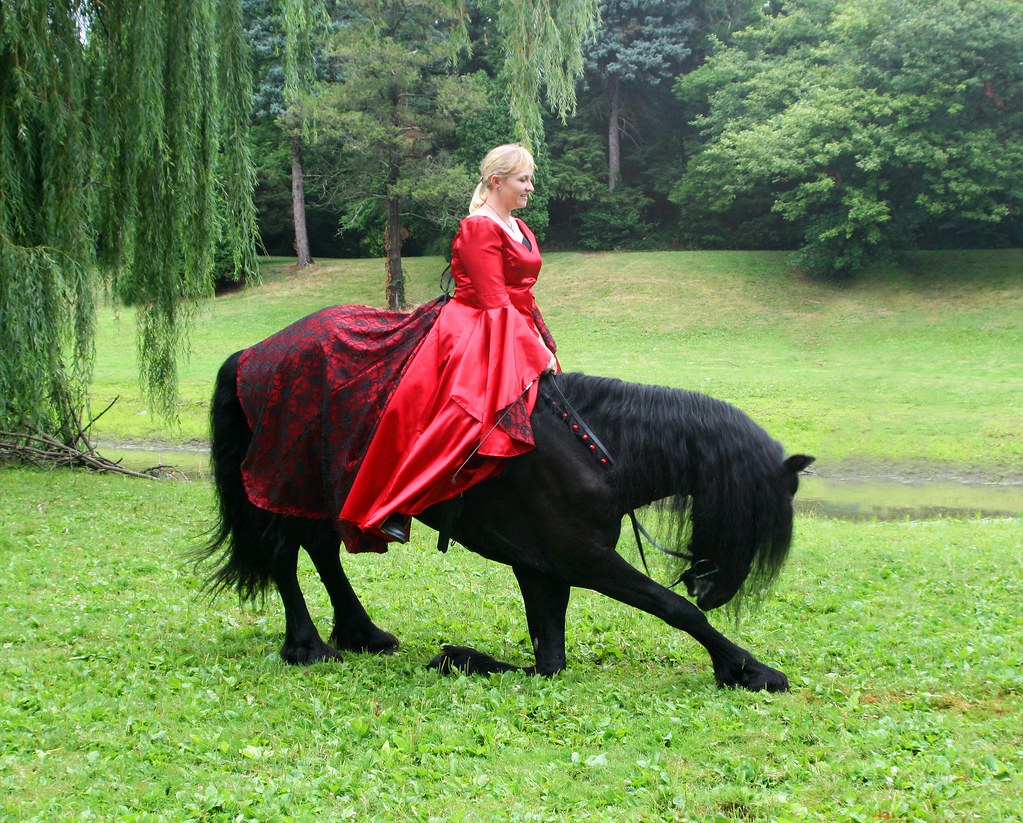 Three Rivers Festival Parade 214 Larissa Allen Flickr