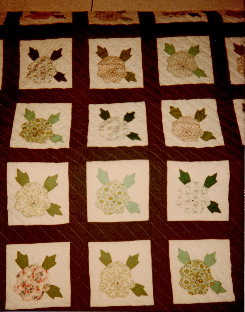 Pansy Applique Quilt My aunt owns a quilt with this patter… Flickr