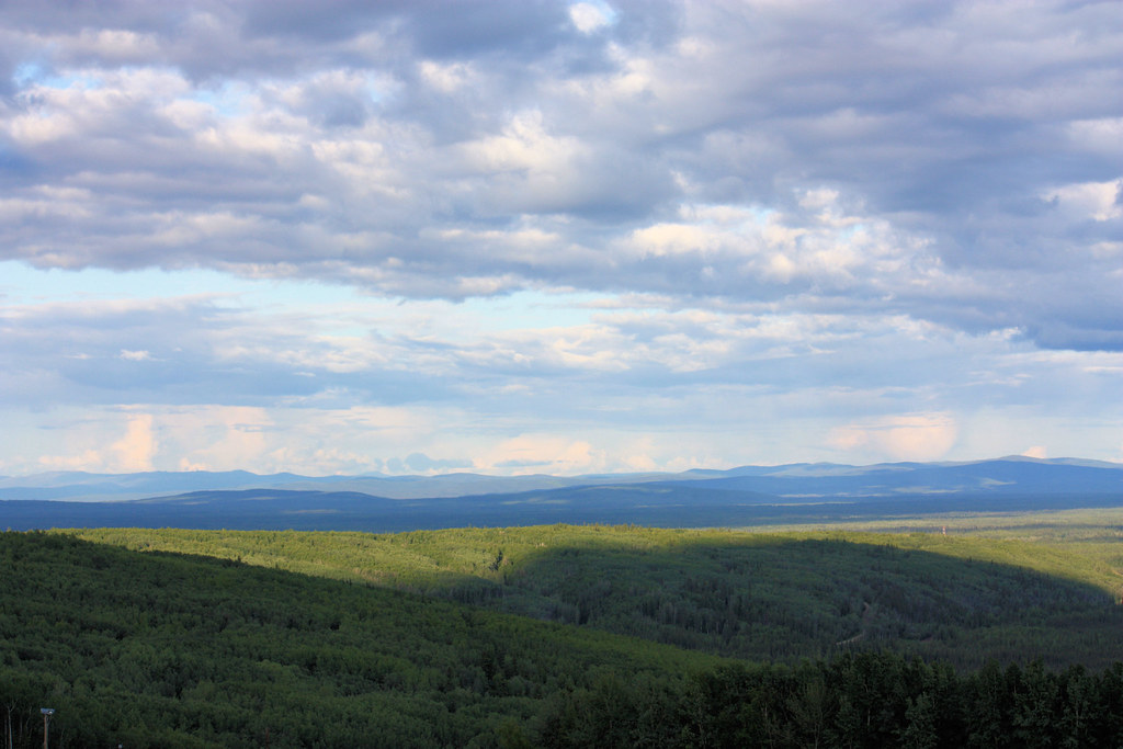 Birch Hill 6/29/09 Sharon Mitchell Flickr