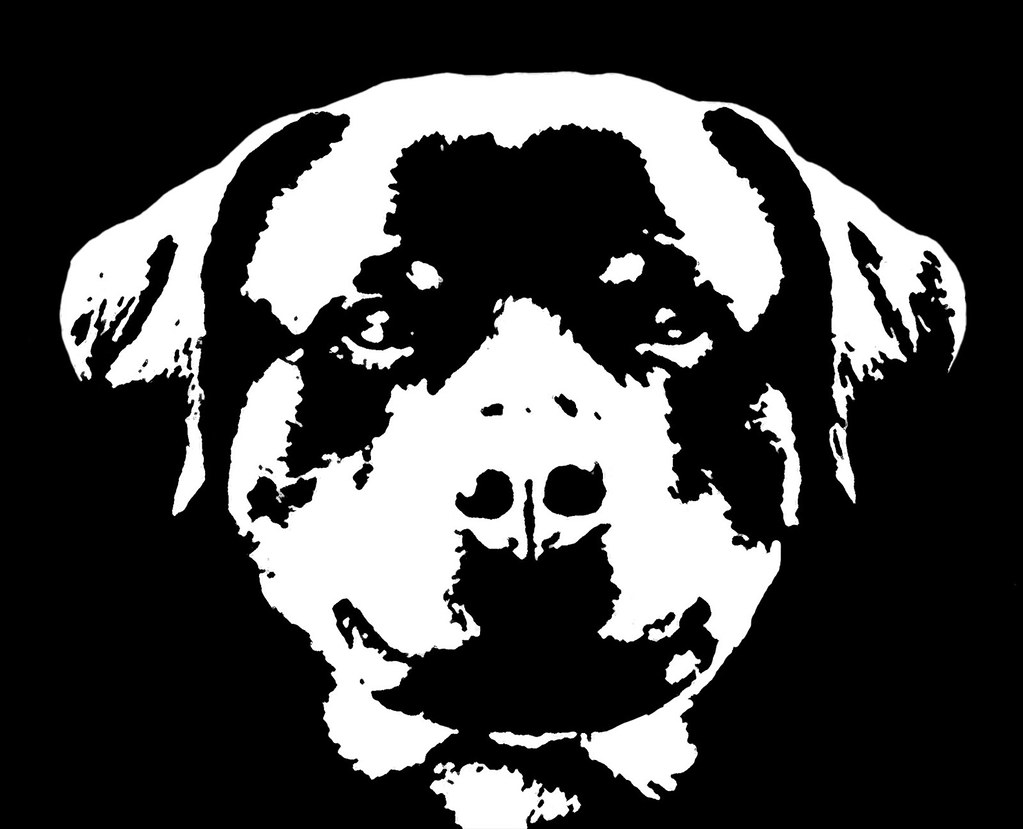 Rottweiler Black & White Stencil Dog Art Print a photo on Flickriver