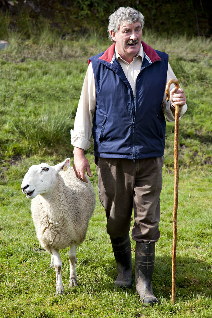 Sheep Herder For more on the photo check out my photo blog… Flickr