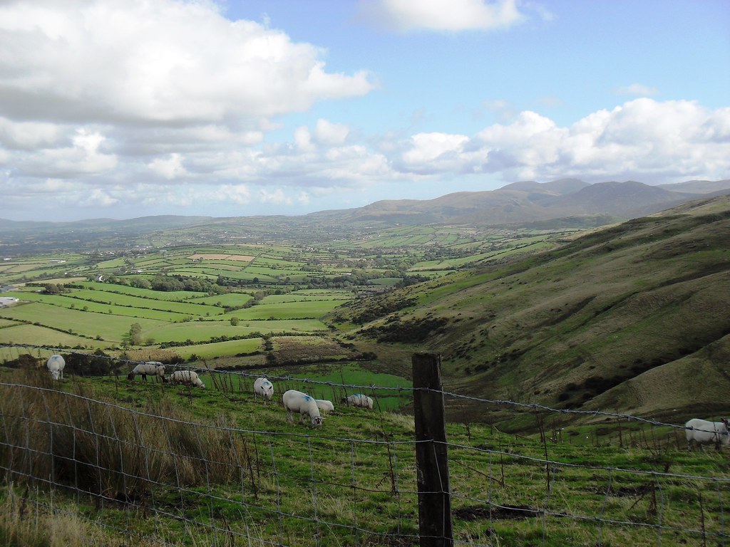 The Hilltown Road I had to take a diverted route home toda… Flickr