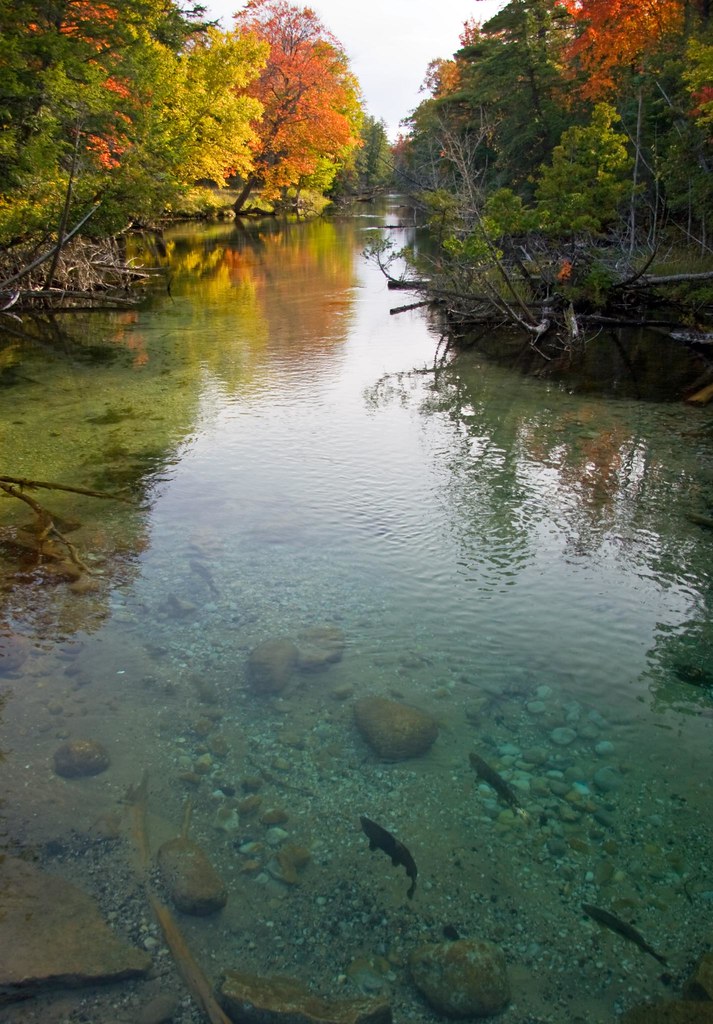 On Black Glen Arbor, Michigan Crystal River by Vicki Oseland [Large]