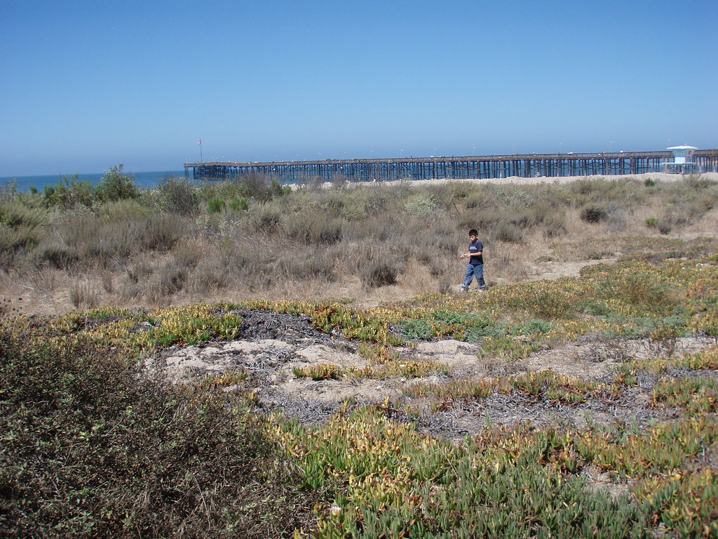 Ventura Beach Peter Howe Flickr