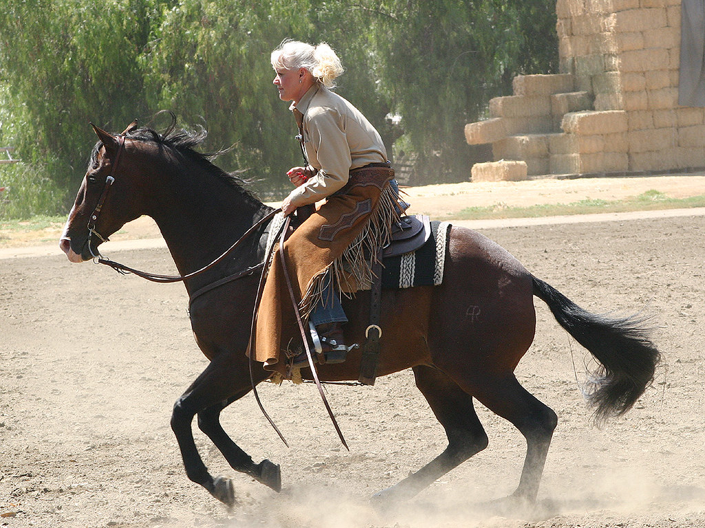 Joan Embery & HorseCutting Demonstration Horsecutting de… Flickr