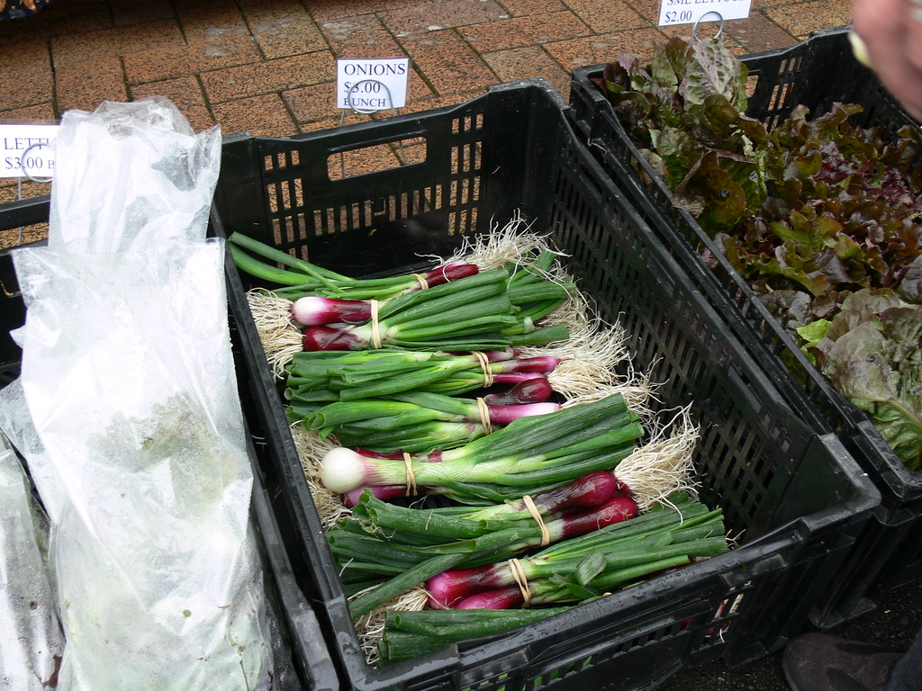Jan2410 Upper Hutt Farmers' Market Flickr