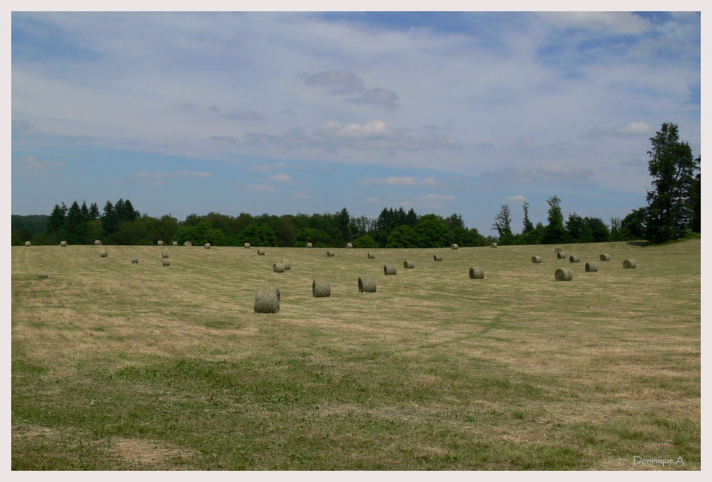 La saison des foins La saison des foins en Limousin Dominique