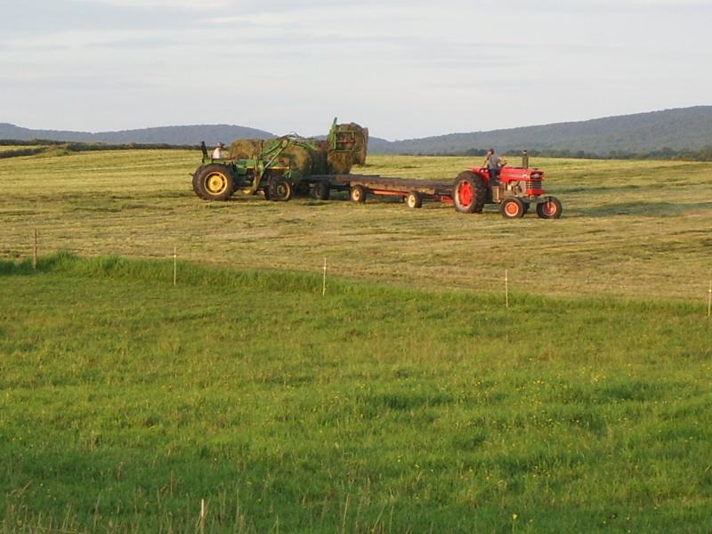 Haying at Snug Valley Farm Flickr