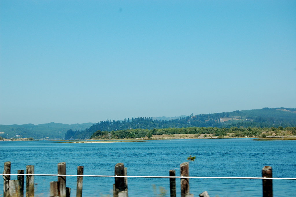 Coos Bay, Oregon Ducks & Daisies Flickr
