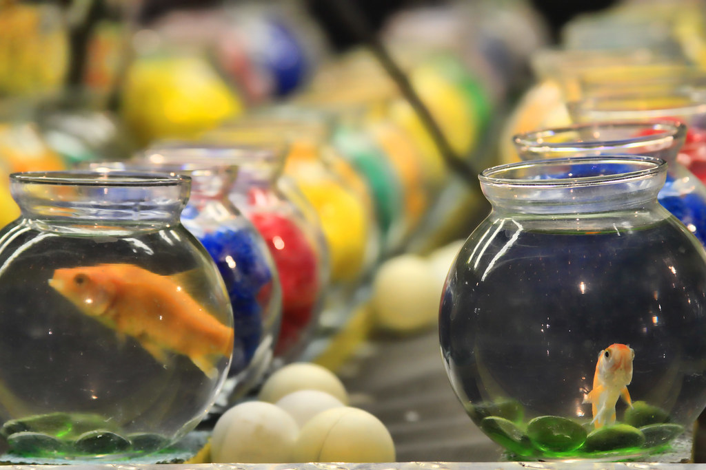 Carnival Fish Kim Sparks Flickr