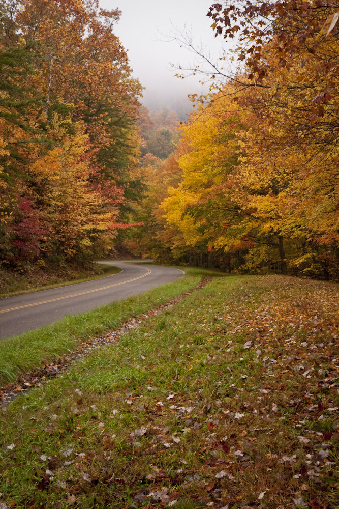 Roaring Fork Drive The bend in the road. Christine Olejniczak Flickr